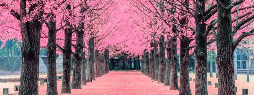 South Korea