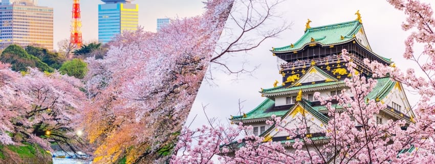 Tokyo / Osaka