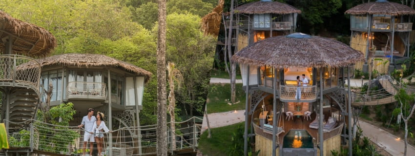 TreeHouse Villas,พังงา