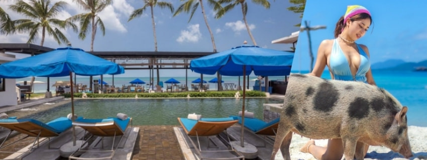 The Sea Koh Samui Beachfront Resort Spa by Tolani, เกาะสมุย