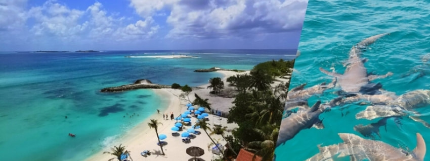 (High Season) Kaani Palm Beach Maldives At Maafushi, มัลดีฟส์