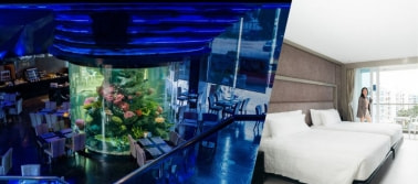 Azure,พัทยา