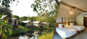 The tree Riverside , แก่งกระจาน