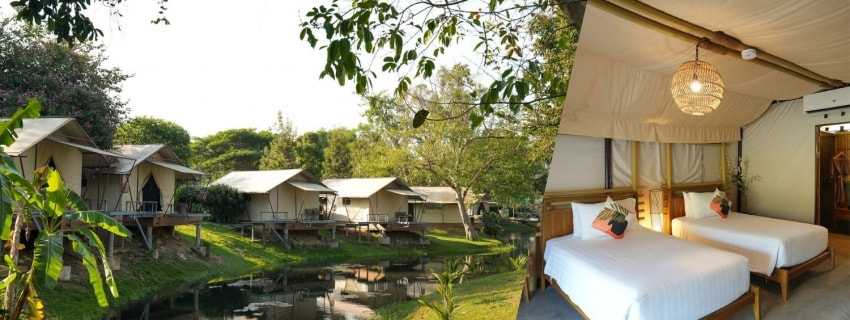 The tree Riverside , แก่งกระจาน